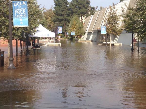 UCLA Flood